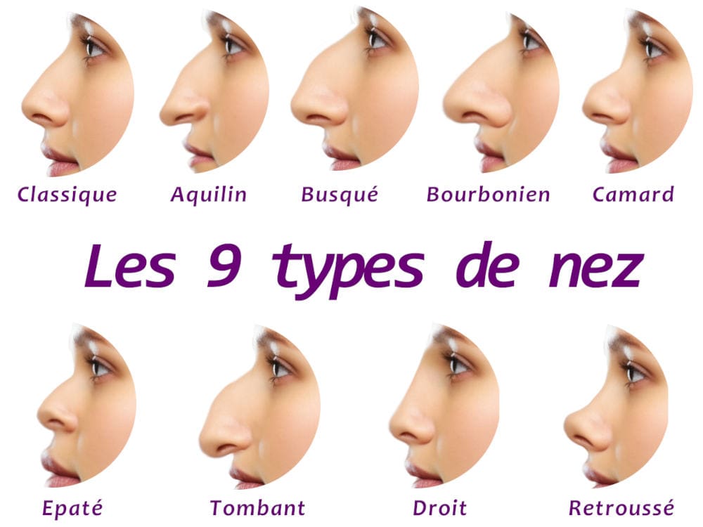 découvrez les caractéristiques d'un nez fin et les conseils essentiels pour en prendre soin au quotidien, afin de sublimer votre profil avec naturel.